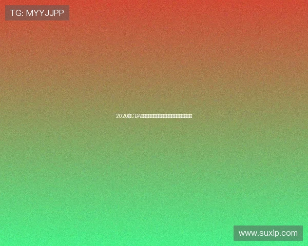 2020年CBA季后赛辽宁队对阵山东队精彩回顾与赛后分析